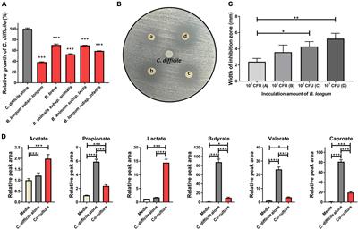 Unveiling the inhibition mechanism of Clostridioides difficile by Bifidobacterium longum via multiomics approach